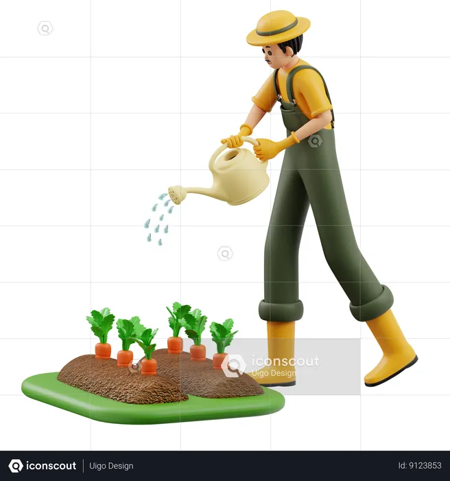 Farmer Is Watering Carrots  3D Illustration