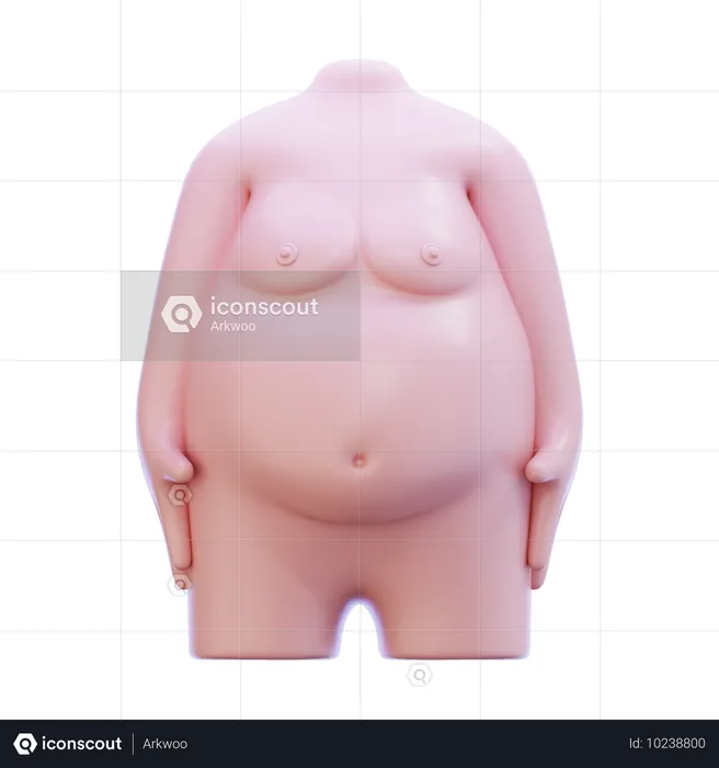 Fat Body  3D Icon