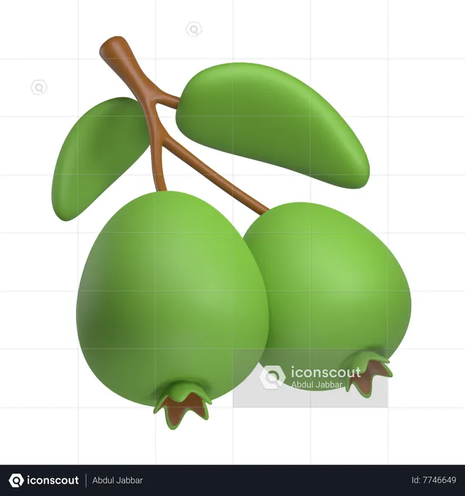 Feijoa  3D Icon