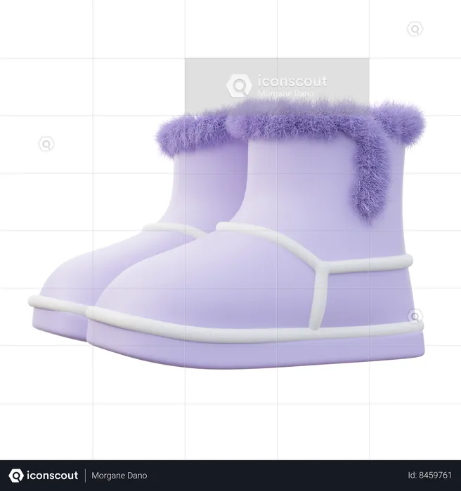 Bottes d'hiver pour femmes  3D Icon