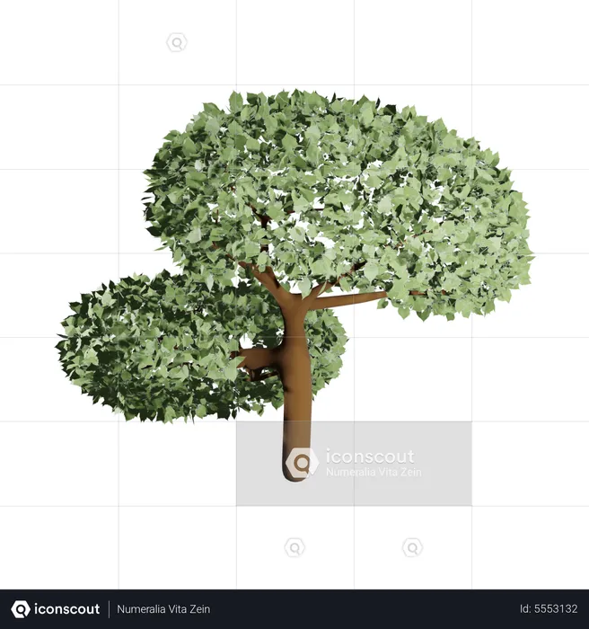 Fertile Tree  3D Icon