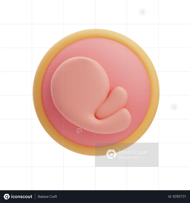 Fetus  3D Icon