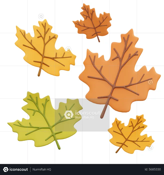 Feuilles de chêne tombées  3D Icon