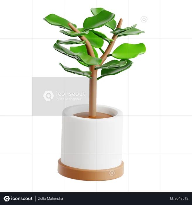 Fiddle Leaf Fig  3D Icon