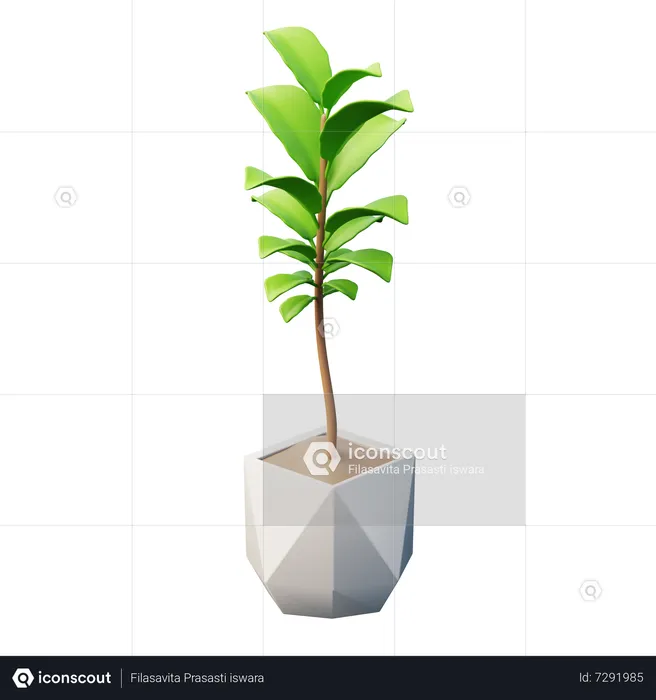 Fiddle-Leaf Fig Plant  3D Icon