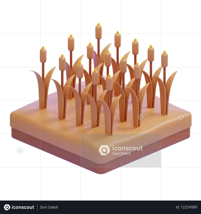 Field With Reeds And Tall Grass  3D Icon