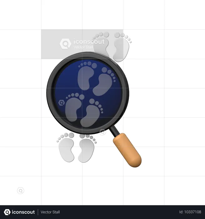 Find Footprints  3D Icon