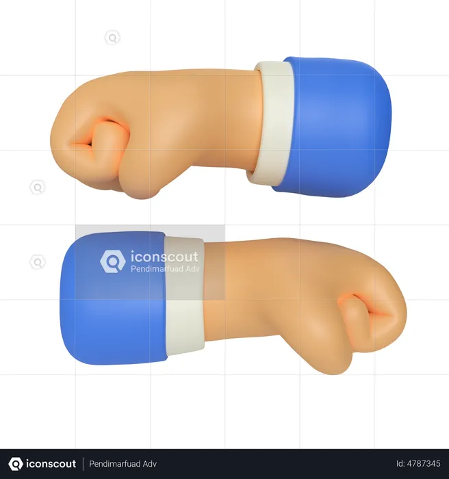 Fist Hand Gesture  3D Illustration