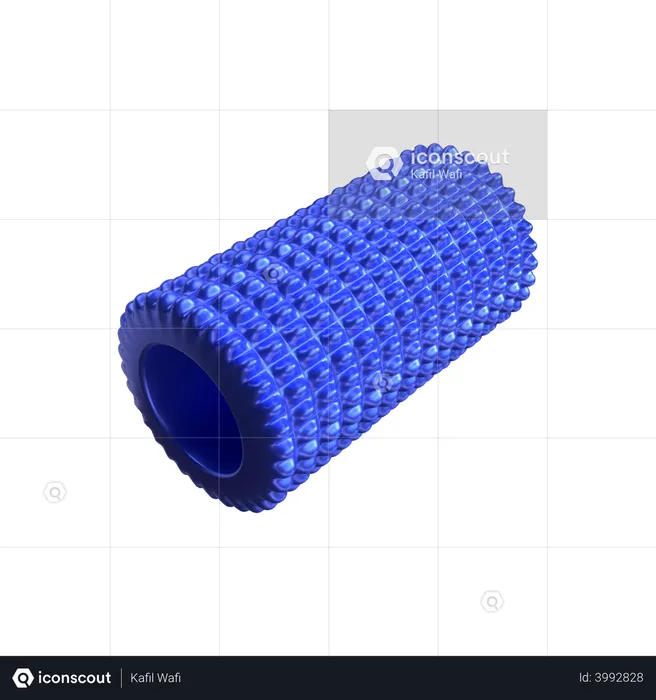 Fitness roller foam  3D Illustration