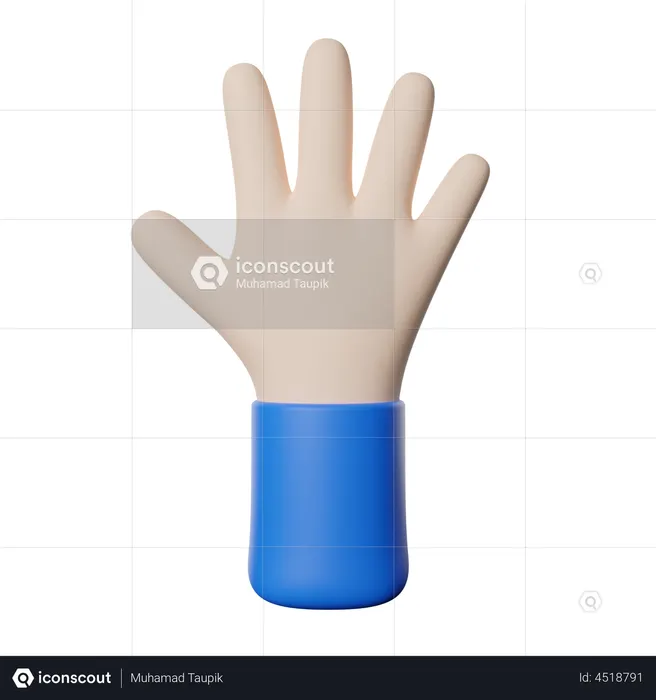 Five Finger Gesture  3D Icon