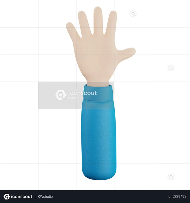 Five Finger Hand Gesture  3D Icon