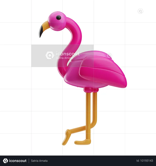 Flamingo  3D Icon