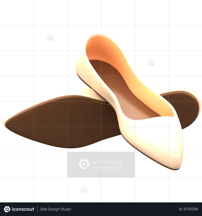 Flat Shoes  3D Icon