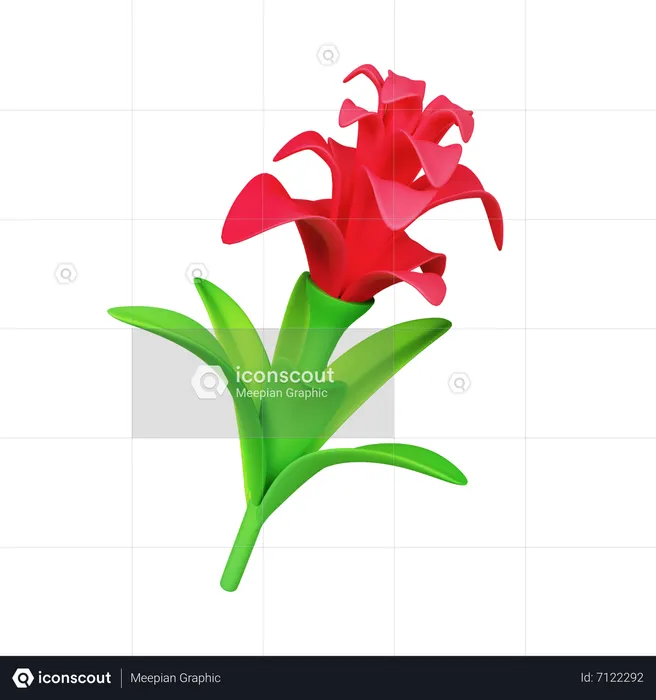 Fleur de broméliacée  3D Icon