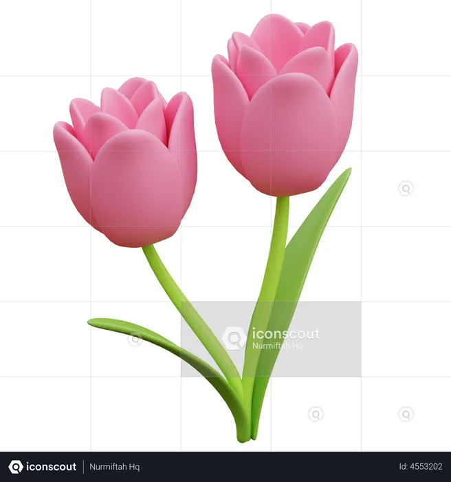 Fleur de tulipe  3D Icon