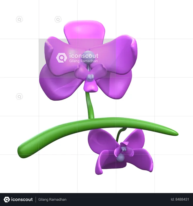 Fleur orchidée  3D Icon