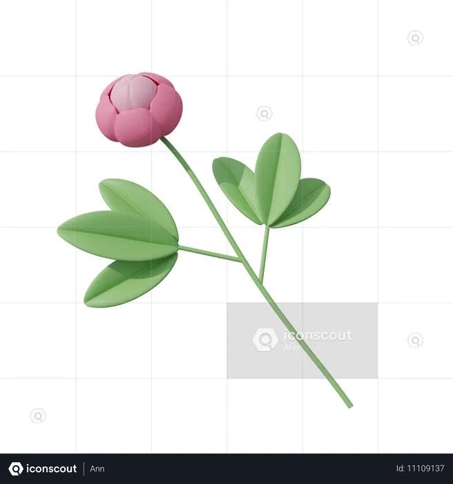 Fleur rose  3D Icon