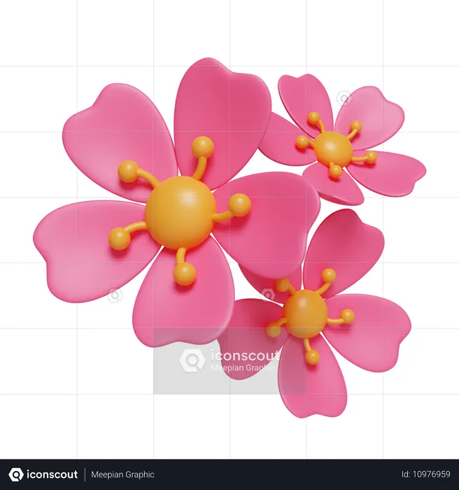 Fleurs de cerisier  3D Icon