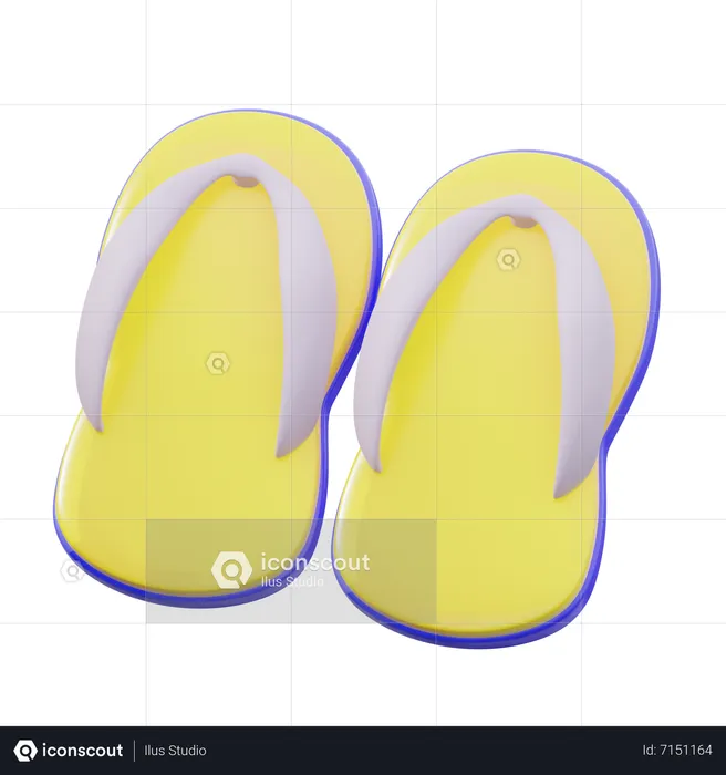 Flipflop  3D Icon