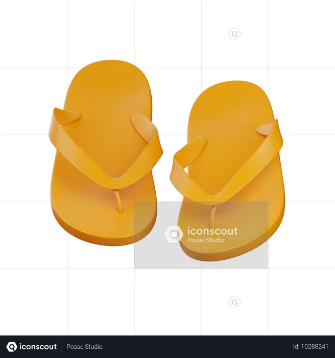 Flip-Flops  3D Icon