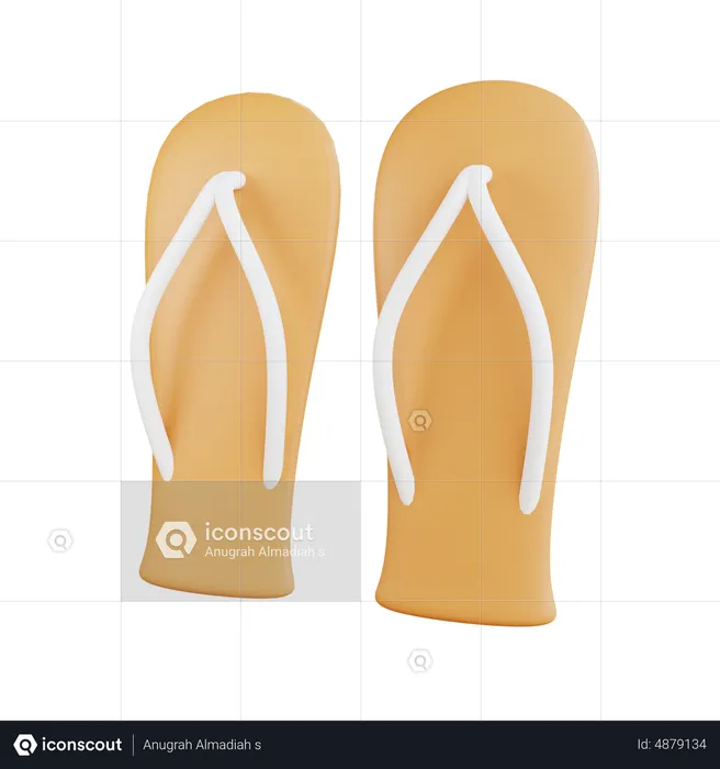 Flip Flops  3D Icon