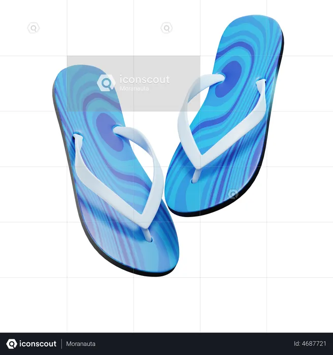 Flip-Flops  3D Illustration