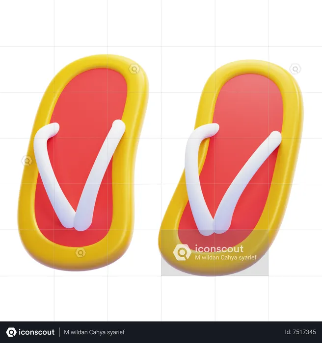 FLIPFLOPS  3D Icon