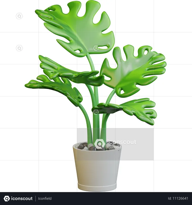 Floor Plant  3D Icon