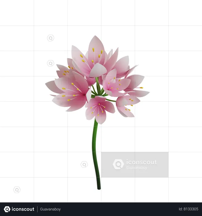 Flor  3D Icon