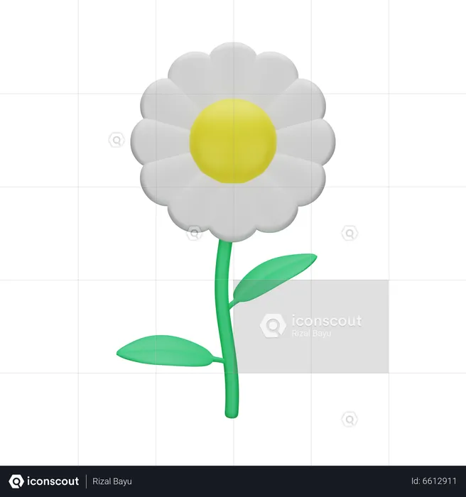 Flor  3D Icon