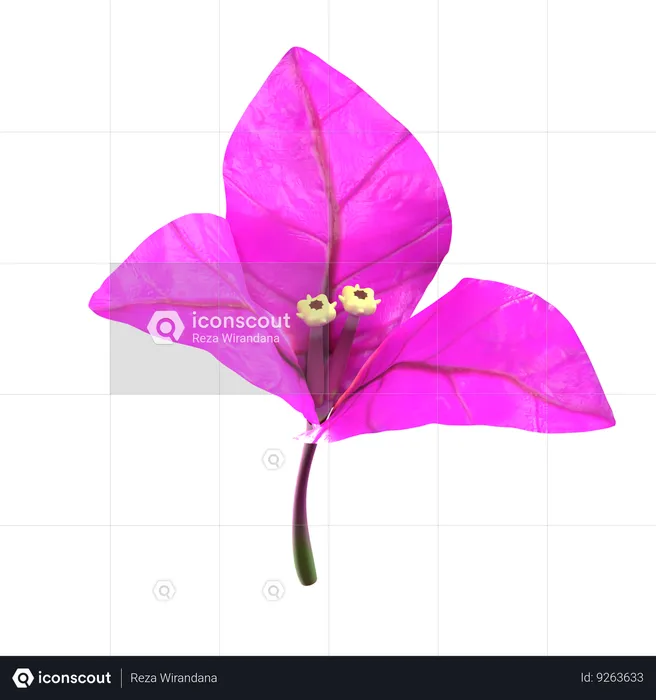 Flor de bougenville púrpura  3D Icon