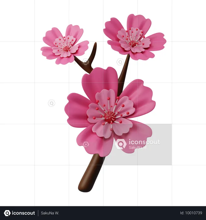 Flor de cerejeira  3D Icon