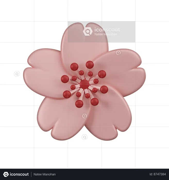 Flor de cerezo  3D Icon