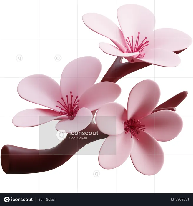 Flor de cerezo  3D Icon