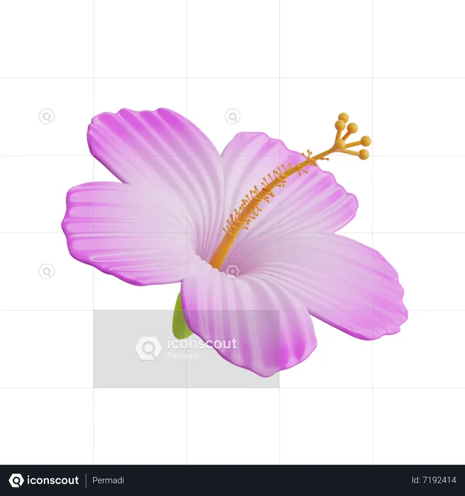 Flor Hibiscus  3D Icon