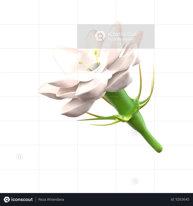 Flor de jasmim  3D Icon