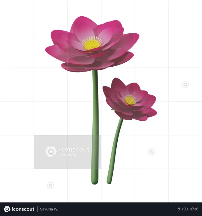Flor de Lotus  3D Icon