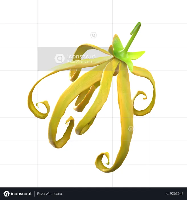 Flor de ylang ylang  3D Icon