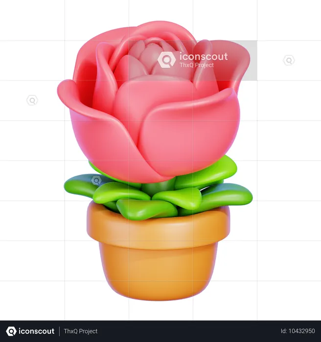 Flor rosa  3D Icon