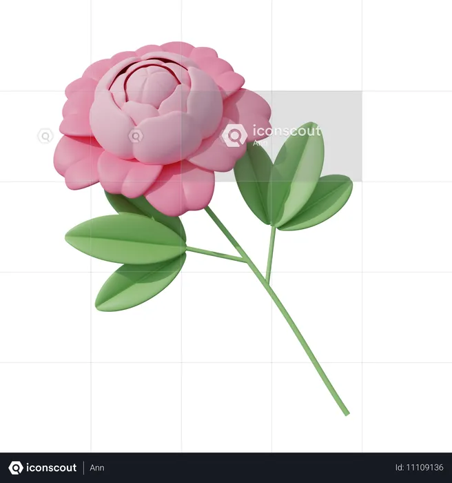 Flor rosa  3D Icon