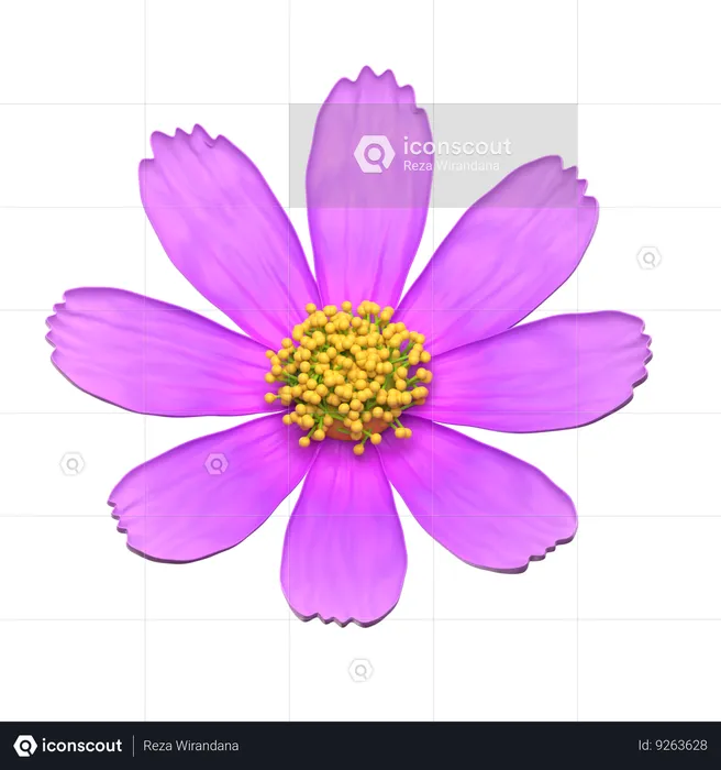 Flor roxa do cosmos  3D Icon