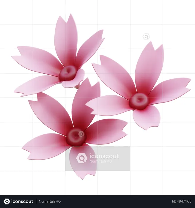 Flor de sakura  3D Icon