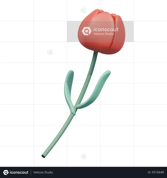 Flor de tulipa vermelha  3D Icon