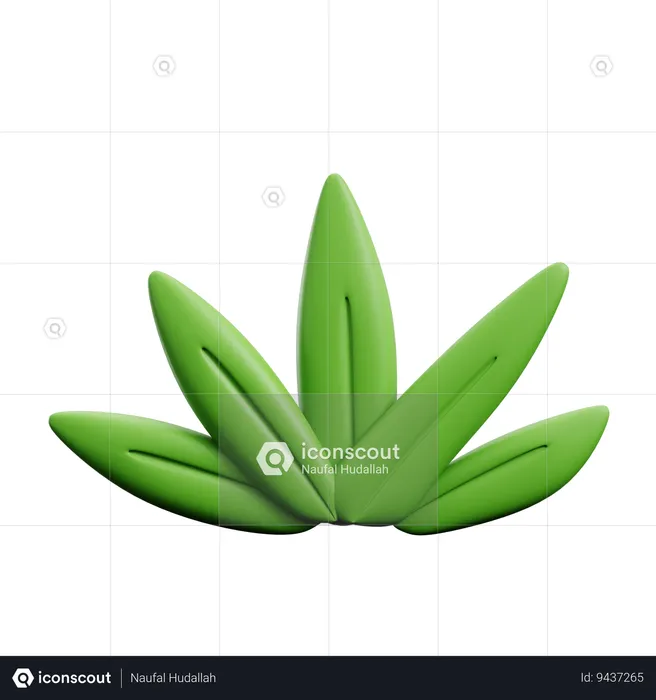 Floral  3D Icon