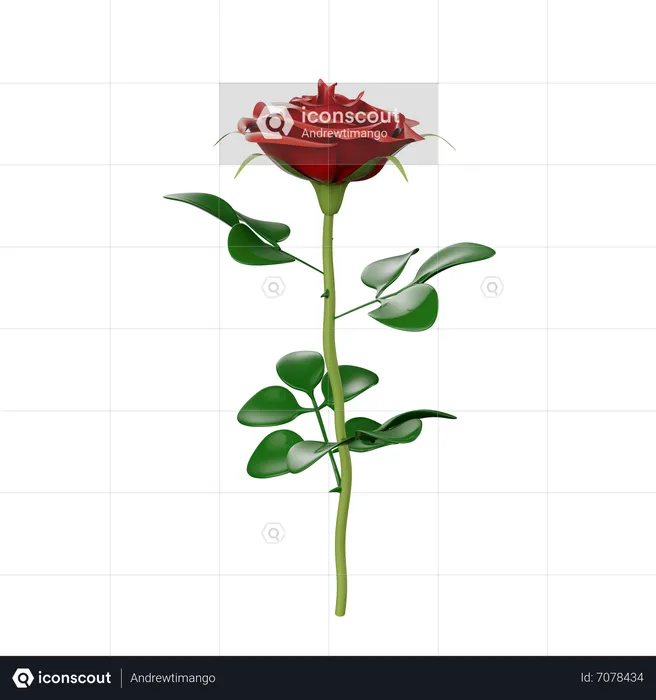 Flores  3D Icon