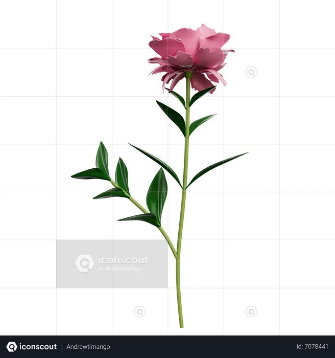 Flores  3D Icon