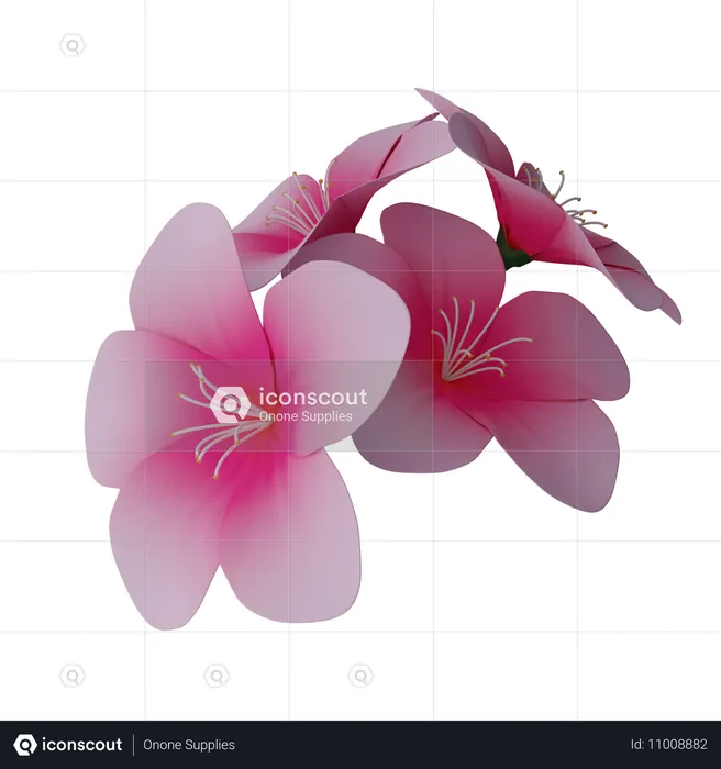 Flores de cerezo  3D Icon