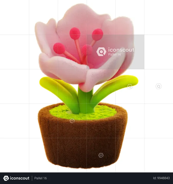 Flor de cerezo  3D Icon