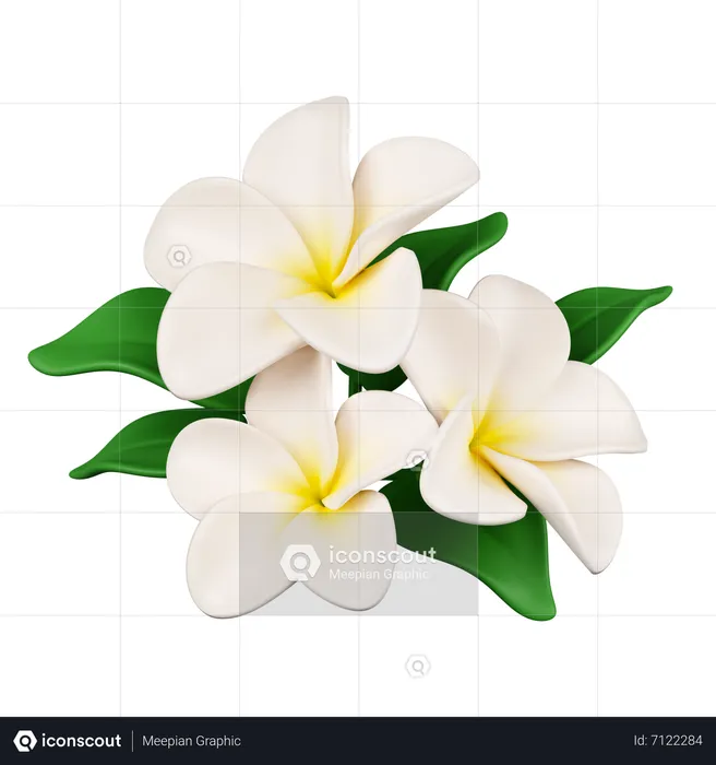 Flores frangipani  3D Icon