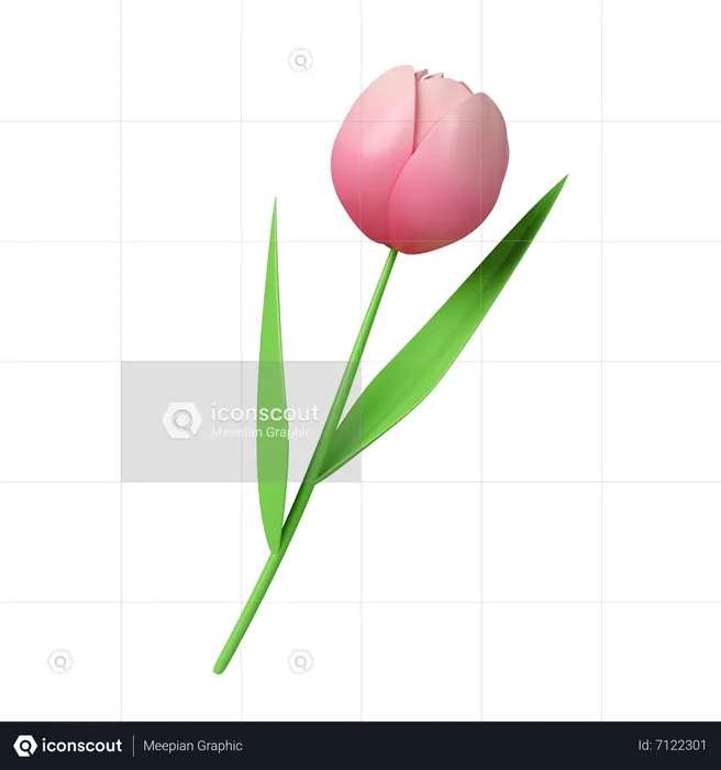 Flores de tulipa  3D Icon